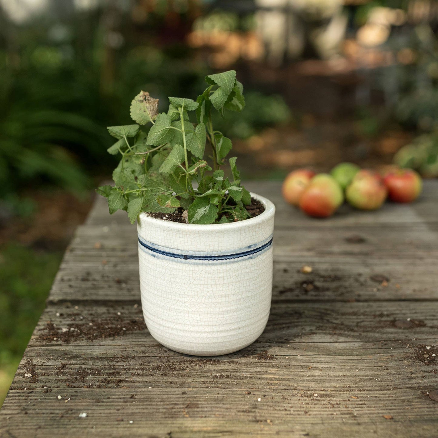 Edaline Vintage Crackle Ceramic Blue Stripe Planter
