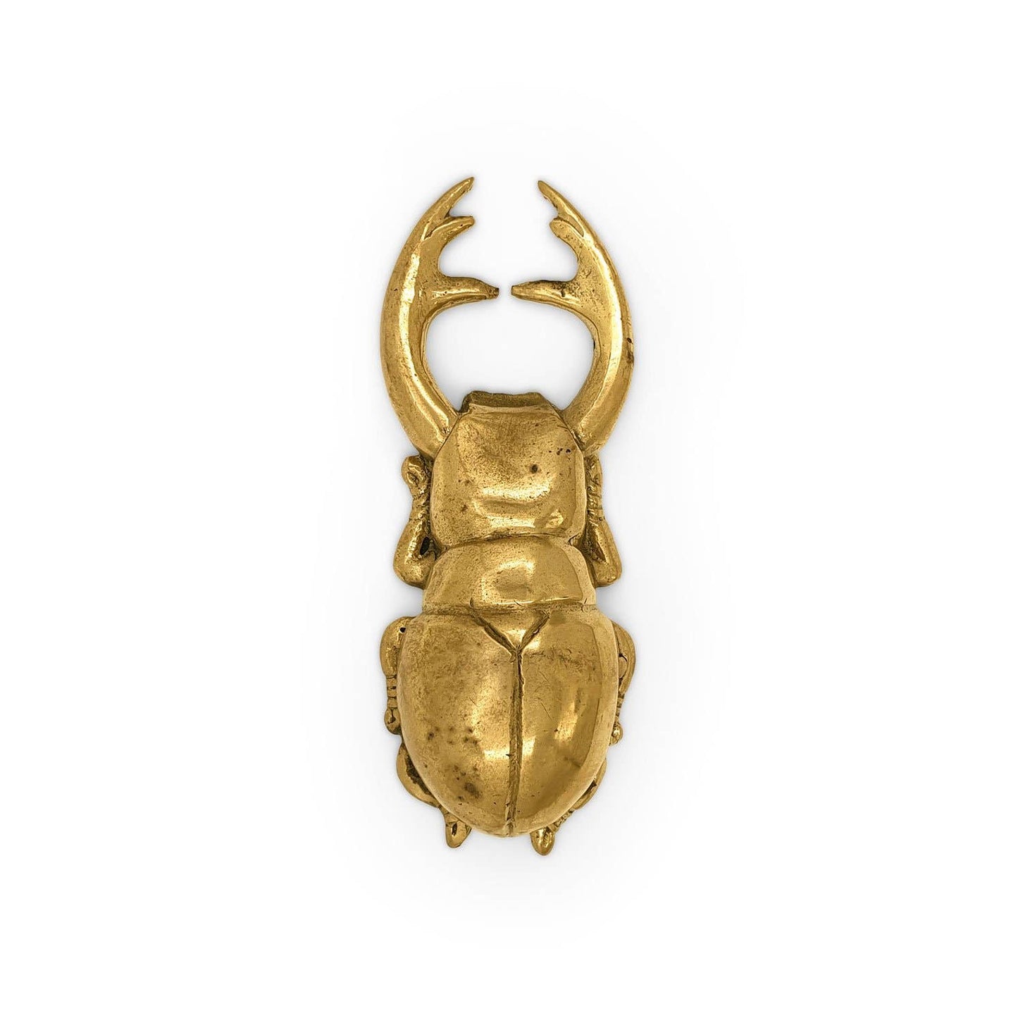 Bottle Opener Atlas Beetle: Gold