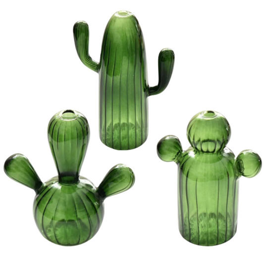 Cactus Hydroponics Plant Vase, Bud Vase - 3 Sizes