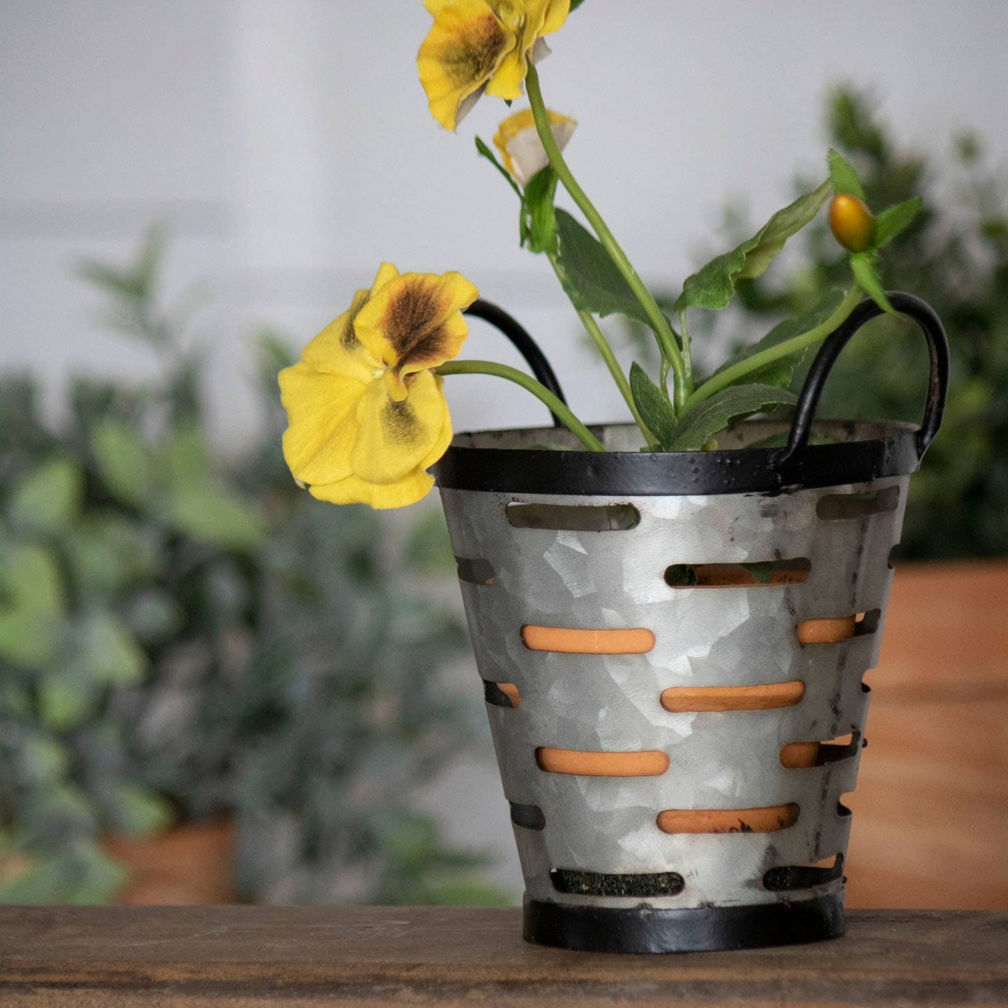 Olive Bucket Planter