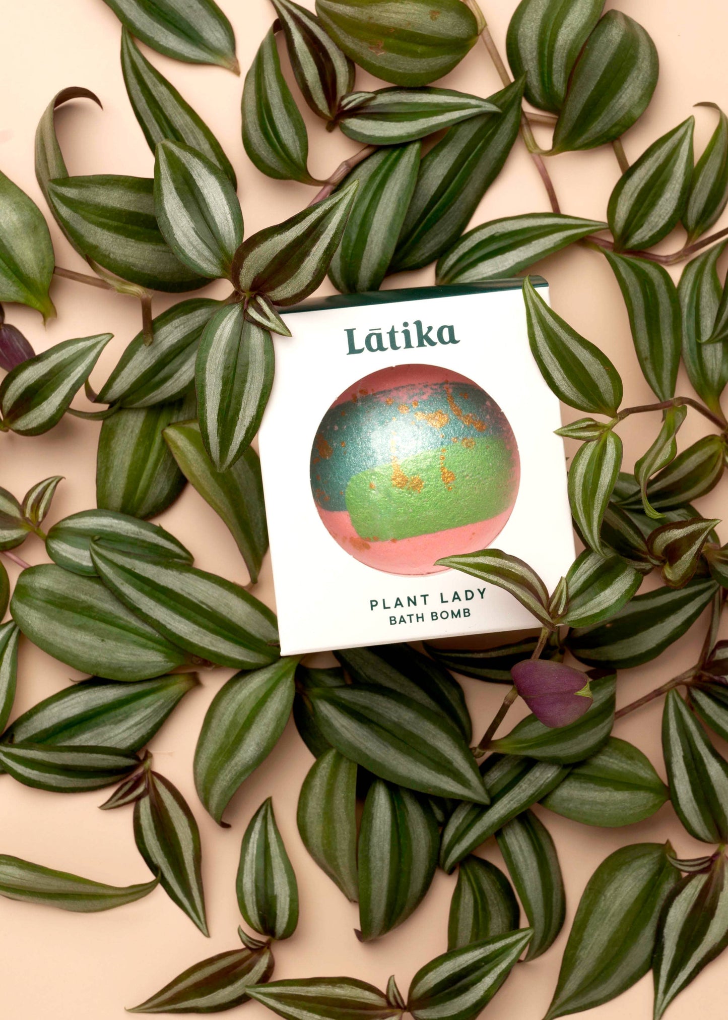 🍃Plant Lady Bath Bomb - Hand Painted